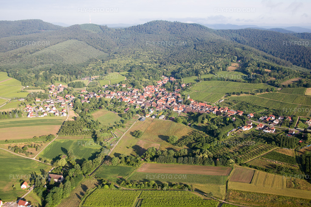 Aerial view: View of the town in Rott in the state Bas-Rhin, France.Photo: IMG_089951.jpg taken on 06/26/2016 by Werner Riehm/FLY-FOTO.comResolution of the original: 5472 x 3648 px