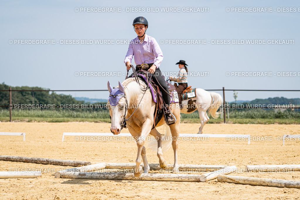 DSC01118 | Pferdegrafie