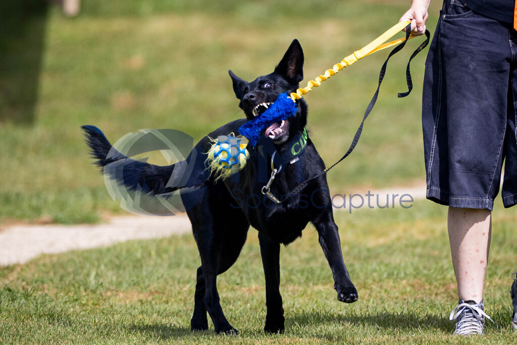 TP-20240815-0153 | Copyright: Trainproduction / Matthias Trinkl