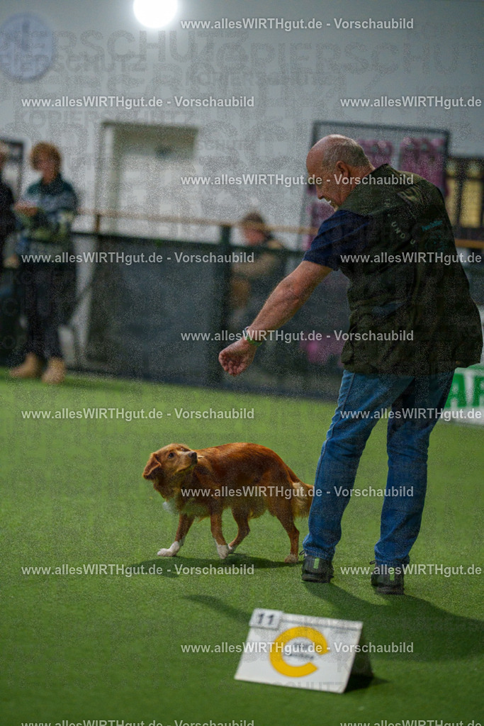 7R504549 | Professionelle Tierfotografie in Mönchengladbach von Daniel Wirth (allesWIRTHgut). Liebevolle & natürliche Bilder von Hunden & Katzen für unvergessliche Erinnerungen.