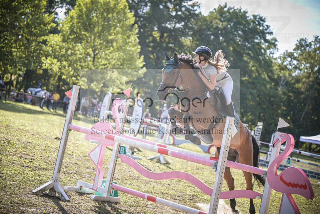 DOS_0145 | Entdecke hochwertige Reitturnierfotos von Foto Oger. Professionell, emotional und authentisch – jetzt Lieblingsmomente im Shop bestellen.Deutschlandweite Turnierfotografie. - Realisiert mit Pictrs.com