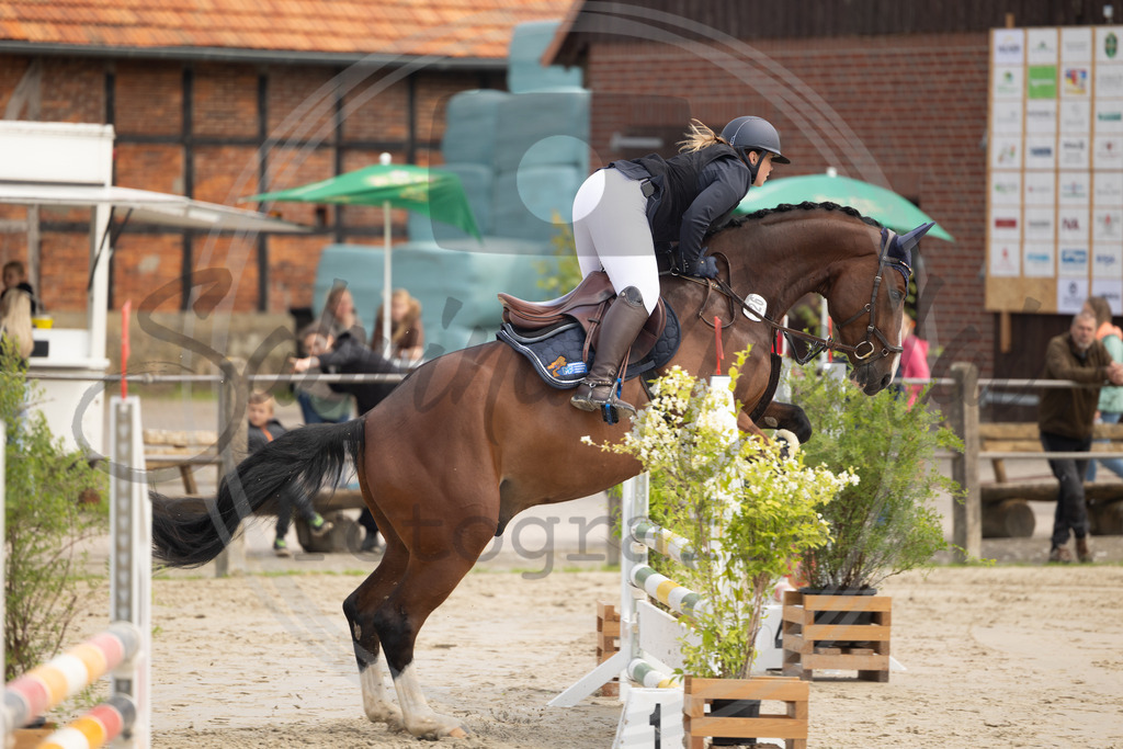 994A9369 | sabrinanicolaifotografie - Realisiert mit Pictrs.com