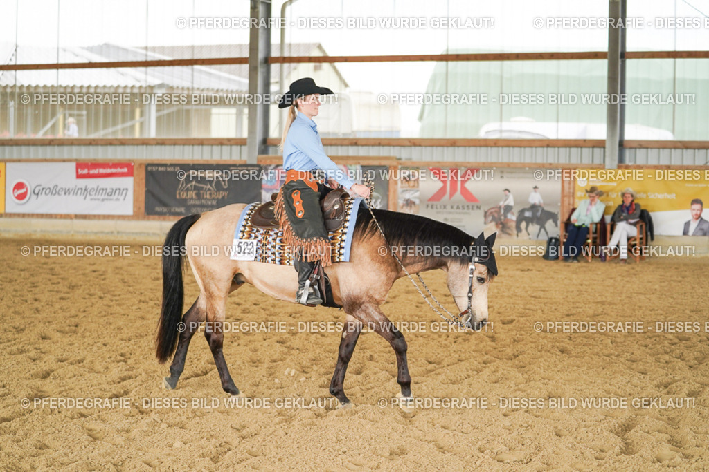 DSC03482 | Pferdegrafie