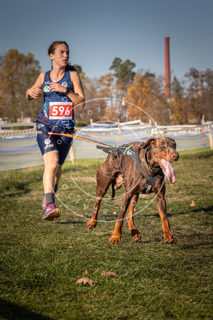 CaniXpix_0L8A8491 | Hundefotografie, Tierfotograf, Pfotenfotografie, Fotoshooting Hund, Hunde Portrait, Hundesport, Hundeportraits, Heideshooting, Hunde, Sportfotograf, Hundefotograf, Turnierhundsport, THS,  - Realisiert mit Pictrs.com