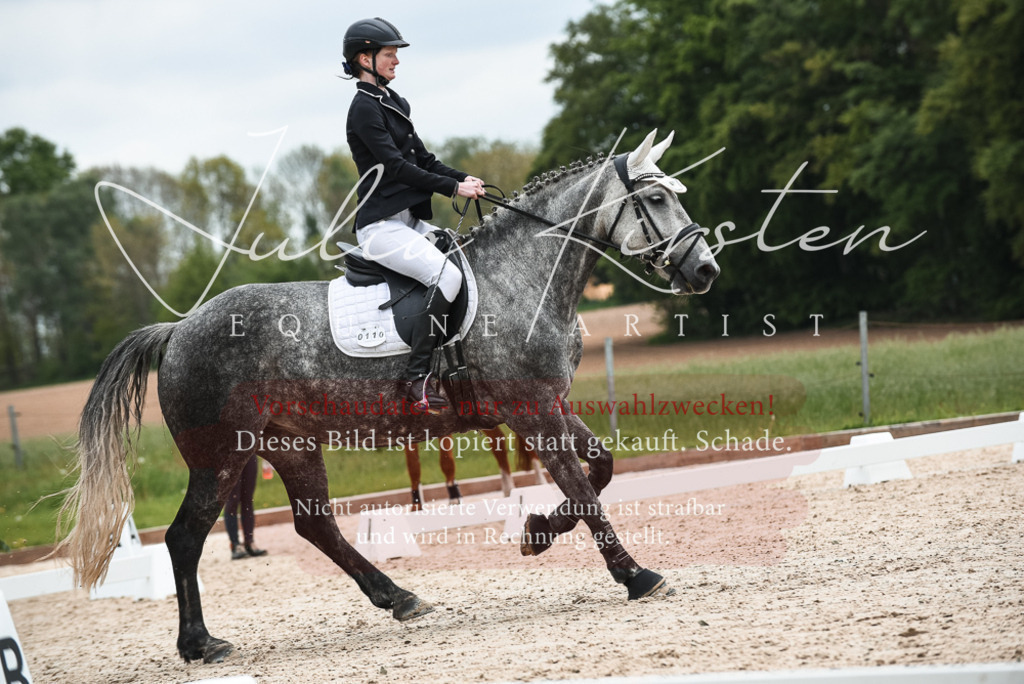 20230518_JK-Röhrsdorf-10-412 | Pferde- und Turnierfotografie in Westsachsen. Pferdeportraits, Auftragszeichnungen und intuitive Kunst.