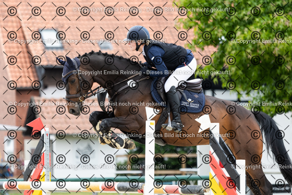 CL5A5026 | Emilia Reinking Fotografie - Realisiert mit Pictrs.com