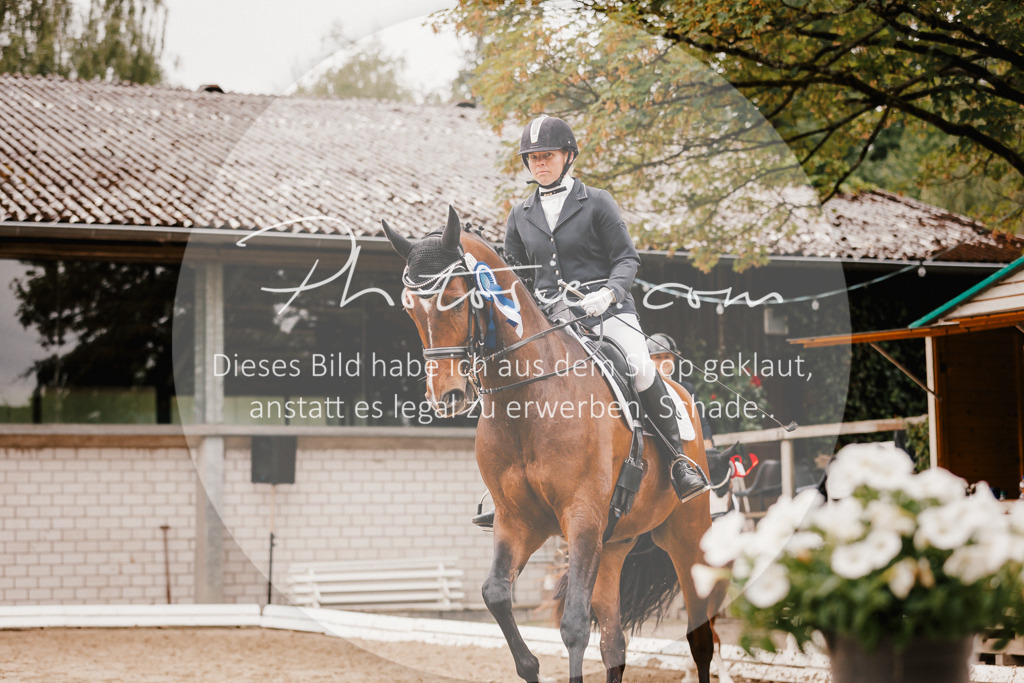 3I6A7877 | Stimmungsvolle Portraits und Reitsportfotografie im Ruhrgebiet und im Münsterland.

Pferdefotografie, Hundefotografie, Tierfotografie, Reportagen, Portraits von Tier und Mensch, Turnierfotografie in Bochum, Recklinghausen, Marl, Haltern am See, Dülmen.. - Realisiert mit Pictrs.com