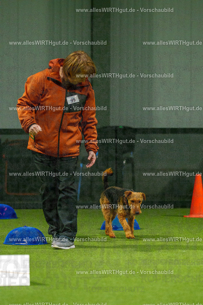 7R509198 | Professionelle Tierfotografie in Mönchengladbach von Daniel Wirth (allesWIRTHgut). Liebevolle & natürliche Bilder von Hunden & Katzen für unvergessliche Erinnerungen.