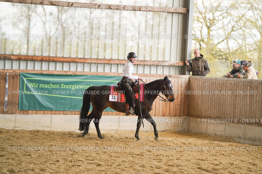 DSC08841 | Pferdegrafie