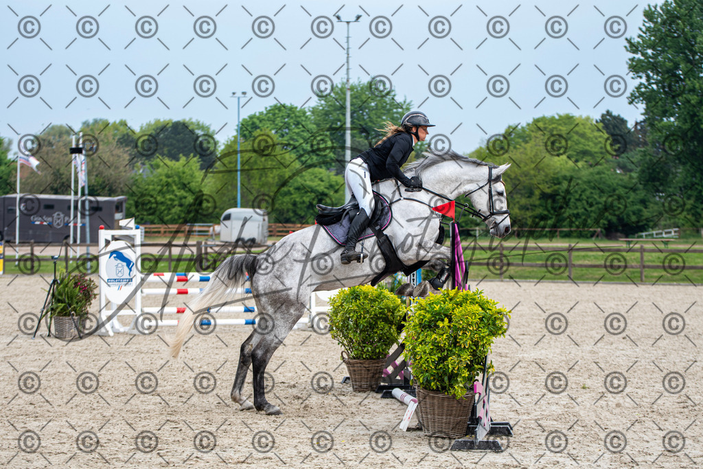 KPT_2806 | andre_photographic