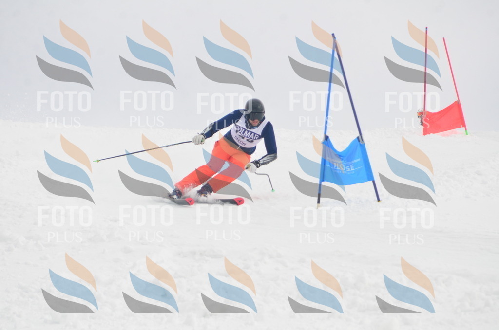 A6241 | holidayphoto