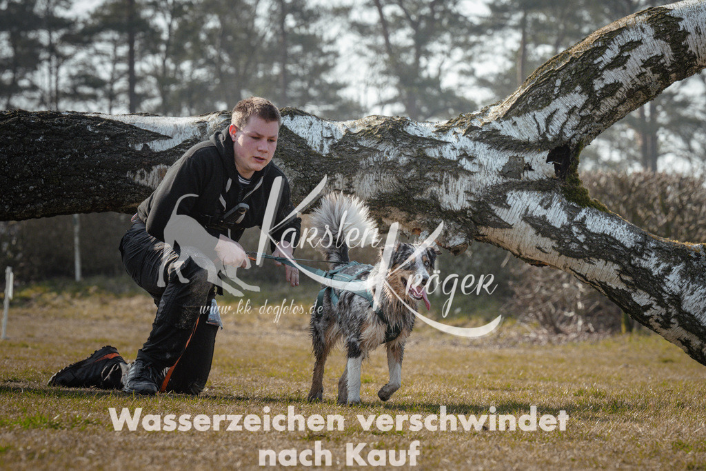 1041_ZZ93493 | kk-dogfotos