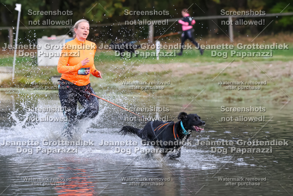 Dog Paparazzi - Strongdog 10-25-6387 | Dog Paparazzi Jeanette Grottendiek Fotografie & Videografie - Realisiert mit Pictrs.com