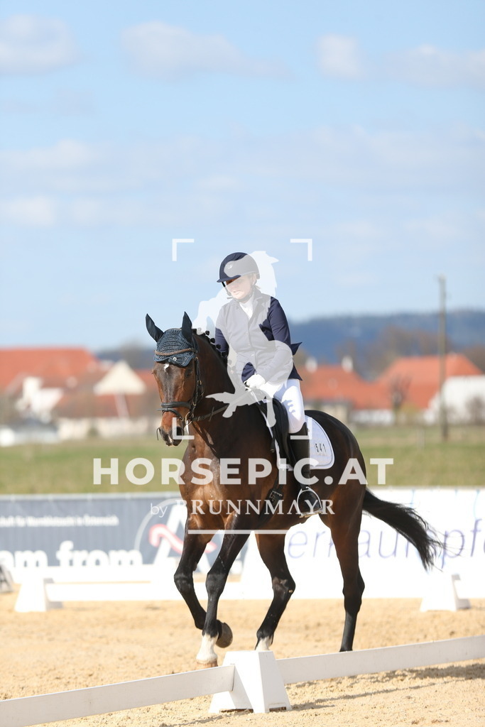 AS8V1792 | Willkommen bei Brunnmayr - Design & Fotografie – Ihrem Spezialisten für Reitturniere und Pferdeveranstaltungen in Oberösterreich, Salzburg und Bayern! Seit über 17 Jahren sind wir leidenschaftlich dabei.