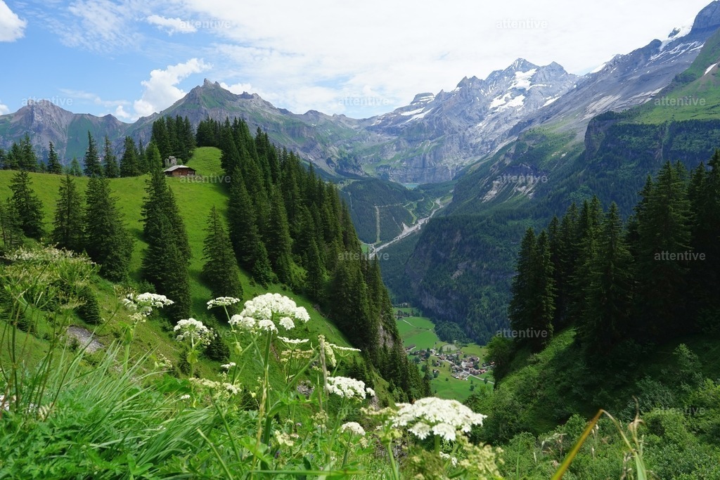 Freiheit | Berner Oberland, Schweiz - Realisiert mit Pictrs.com