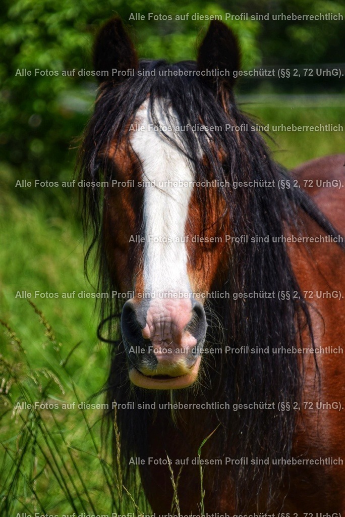 DSC_0266-01 | krollfotografie - Realisiert mit Pictrs.com