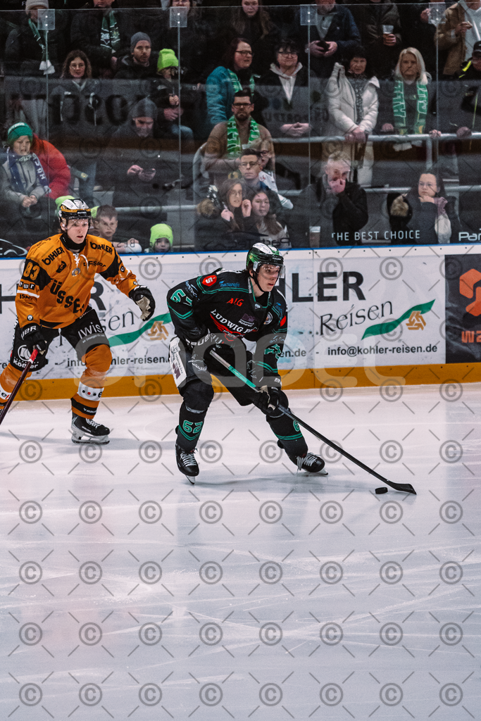 Alligators_vs_Fuessen_06_03_2026_PP-18 | Höchstadt Alligators Fotogalerie: Eishockey-Action aus Franken. Professionelle Spielfotos, Portraits & Stadionbilder zum Download. Jetzt entdecken! - Realisiert mit Pictrs.com