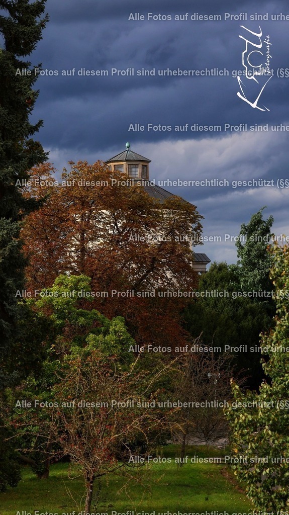 Photo_1727556001100 | krollfotografie - Realisiert mit Pictrs.com