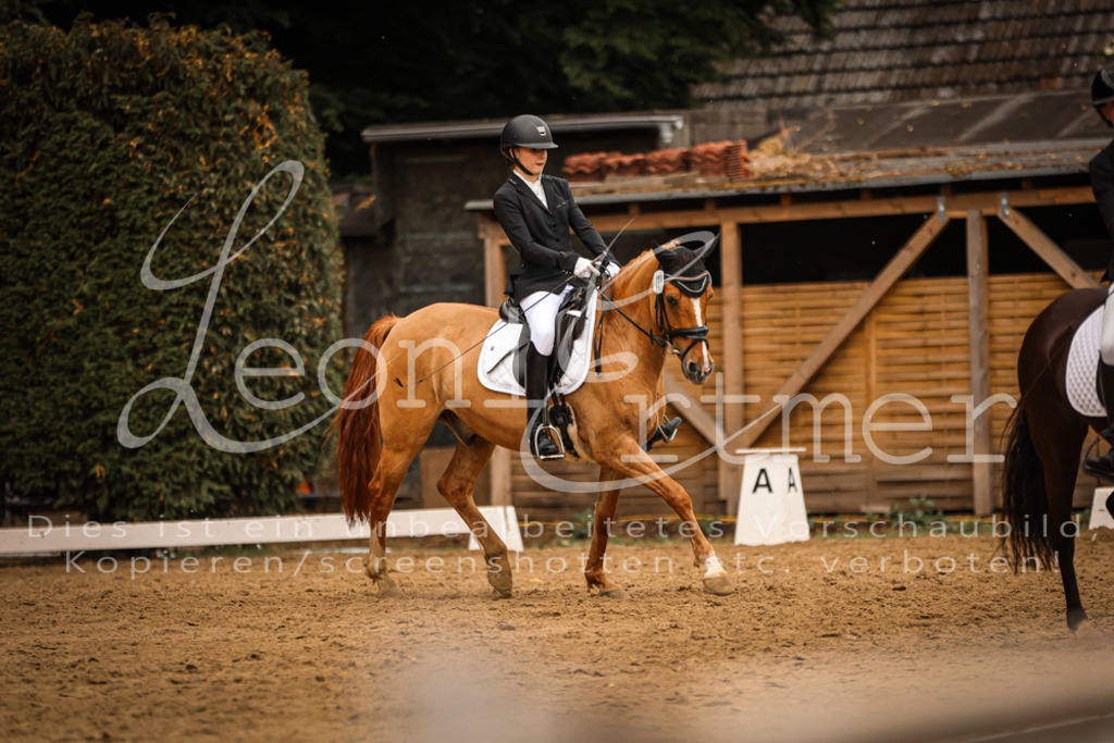 DoDrE00417 | Leoni Ertmer Photography - Realisiert mit Pictrs.com