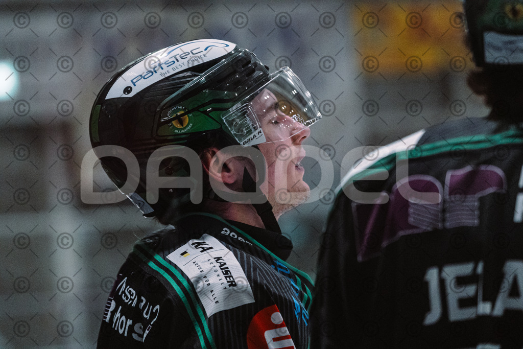 Alligators_vs_Peiting_04_01_2026-111 | Höchstadt Alligators Fotogalerie: Eishockey-Action aus Franken. Professionelle Spielfotos, Portraits & Stadionbilder zum Download. Jetzt entdecken! - Realisiert mit Pictrs.com
