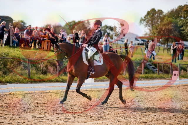 2026_10_03_Siefer-Hof_131002_Z63_72119467 | Professionelle Reitsport-, Turnier- und Eventfotografie von Robert Broda. Galerien mit ausgewählten und bearbeiteten Bildern direkt online ansehen und bestellen.
