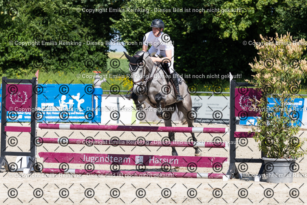 CL5A0271 | Emilia Reinking Fotografie - Realisiert mit Pictrs.com