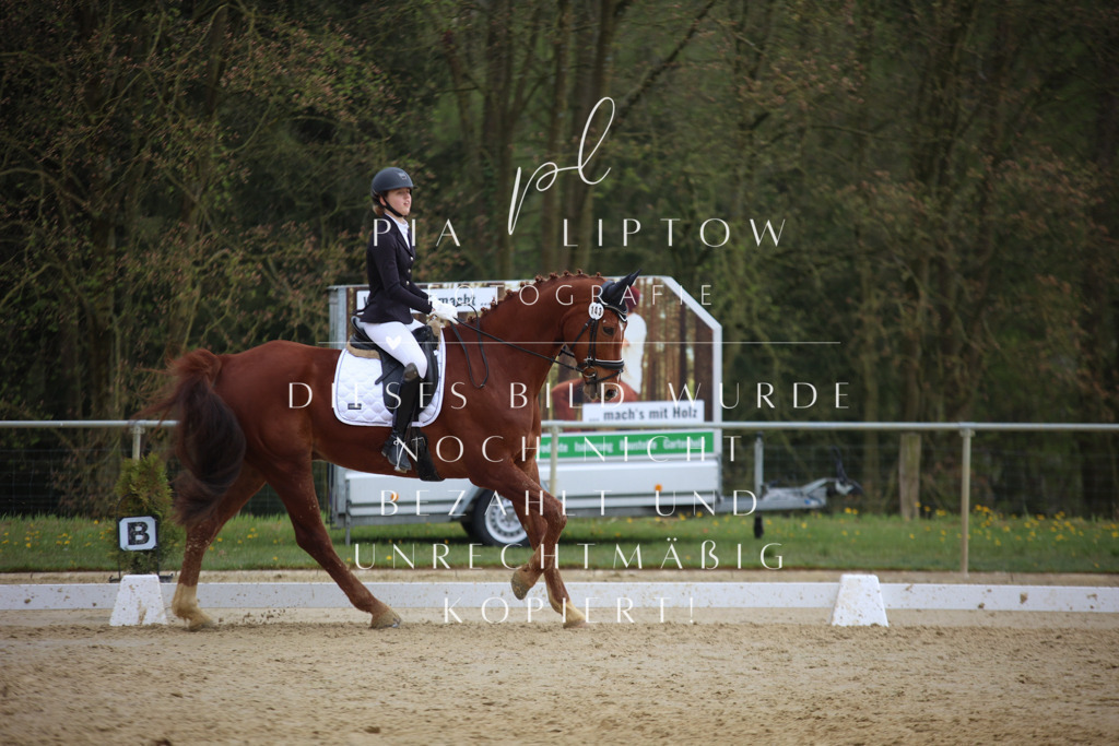 IMGT7313 | pl-fotografie