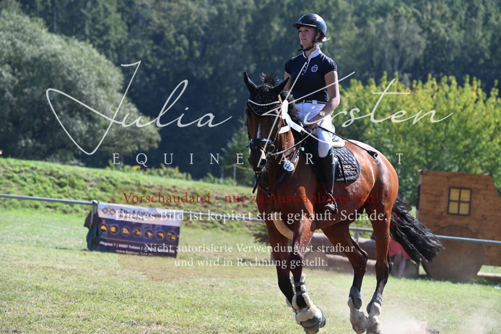 DSC_6512 | Pferde- und Turnierfotografie in Westsachsen. Pferdeportraits, Auftragszeichnungen und intuitive Kunst.