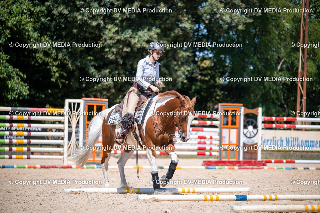 ZS1_1291 | dv-media-shop - Realisiert mit Pictrs.com