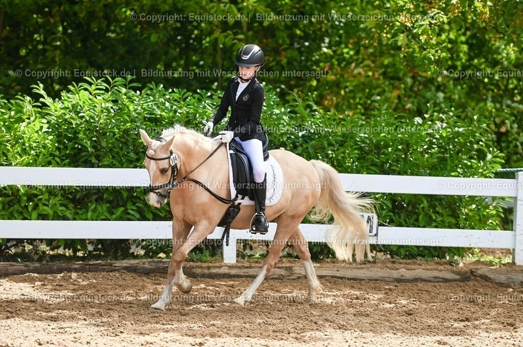 20230716_10-3_Reiter-WB Schritt - Trab - Galopp_0119 | equistock