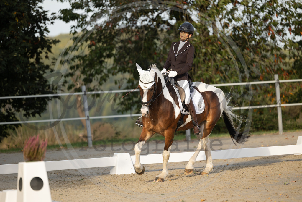 994A0579 | sabrinanicolaifotografie - Realisiert mit Pictrs.com