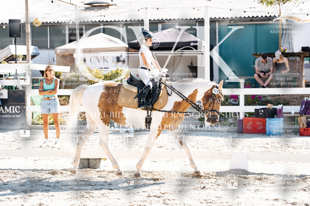 CK903252 | Turnierfotografie Pferdefotografie Trier Rheinland-Pfalz Pferdesport Reitsport Tierfotografie Sportfotografie Pferdevideo Pferdevideografie Equestrianvideography equestrianphotography  - Realisiert mit Pictrs.com