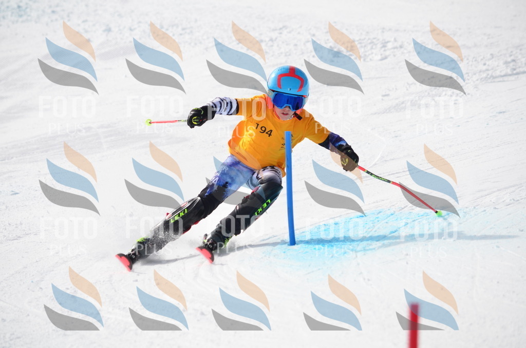 C8082 | holidayphoto