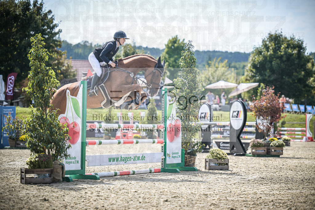 DOS_8248 | Entdecke hochwertige Reitturnierfotos von Foto Oger. Professionell, emotional und authentisch – jetzt Lieblingsmomente im Shop bestellen.Deutschlandweite Turnierfotografie. - Realisiert mit Pictrs.com