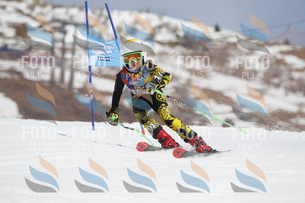 _U3G1983 | holidayphoto