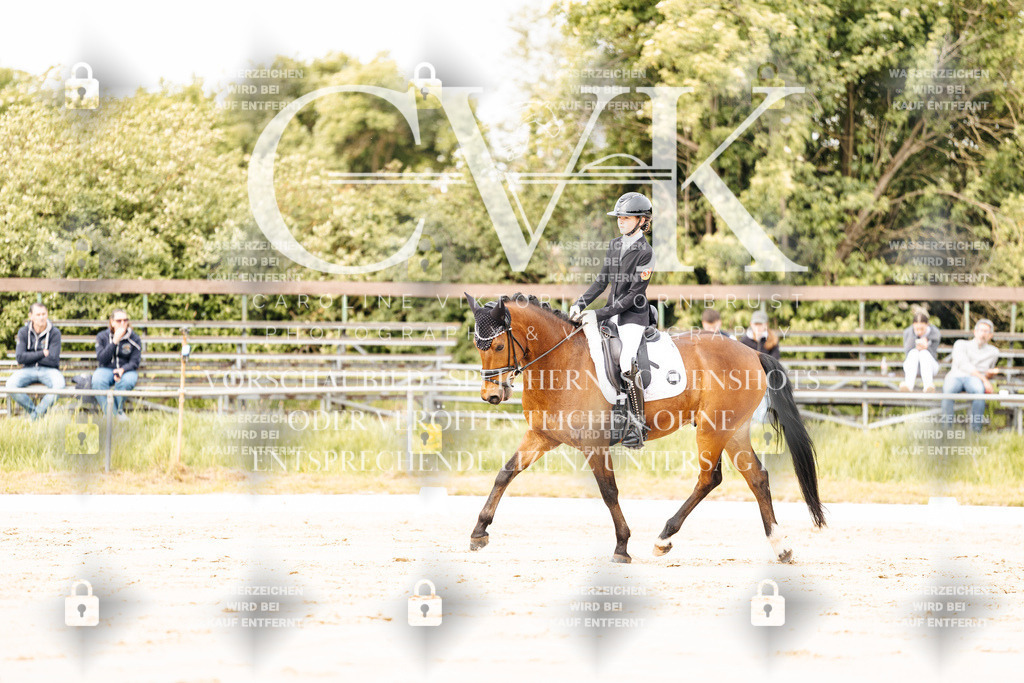 CK900838 | Turnierfotografie Pferdefotografie Trier Rheinland-Pfalz Pferdesport Reitsport Tierfotografie Sportfotografie Pferdevideo Pferdevideografie Equestrianvideography equestrianphotography  - Realisiert mit Pictrs.com