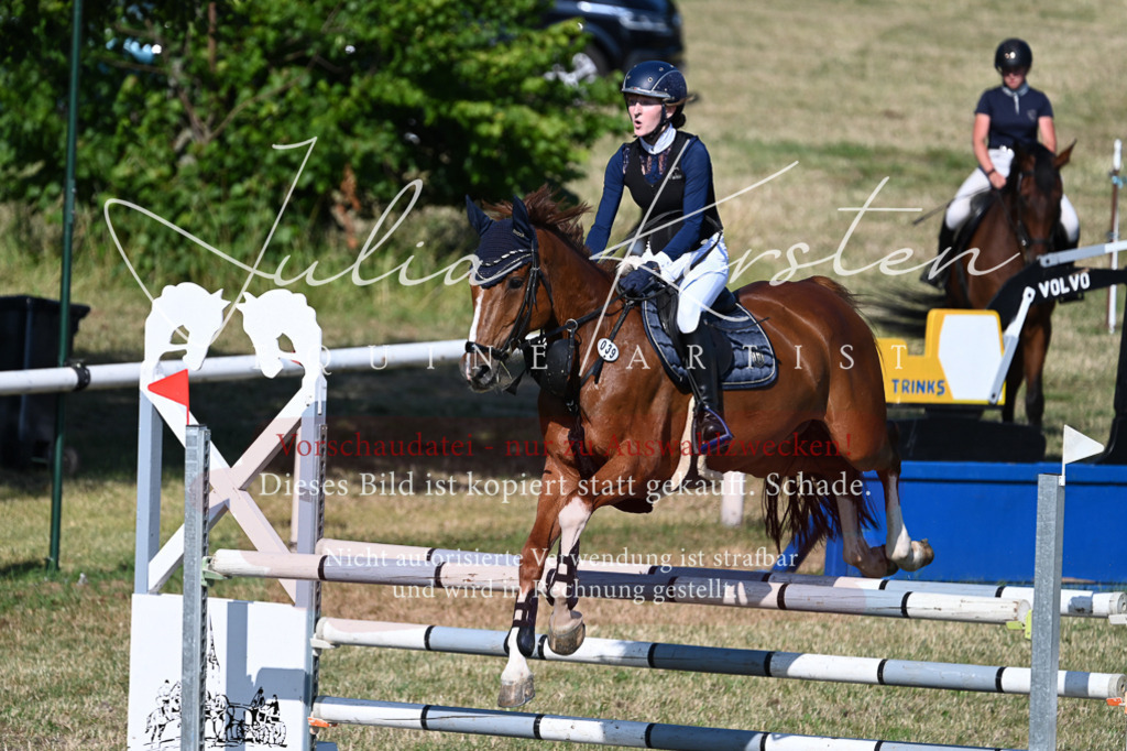 DSC_2343 | Pferde- und Turnierfotografie in Westsachsen. Pferdeportraits, Auftragszeichnungen und intuitive Kunst.