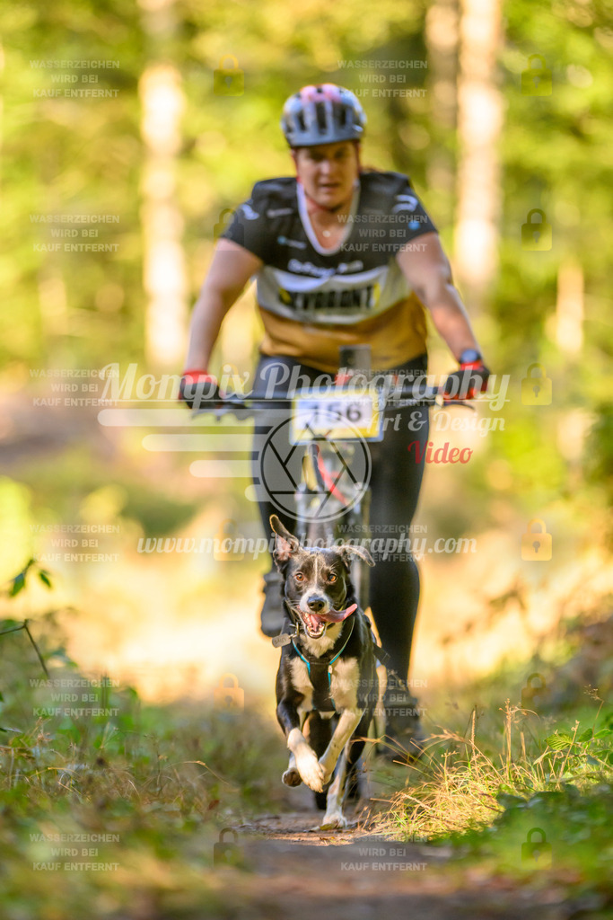 MompixPhotography_Yens2025_B3-80 | PayLife