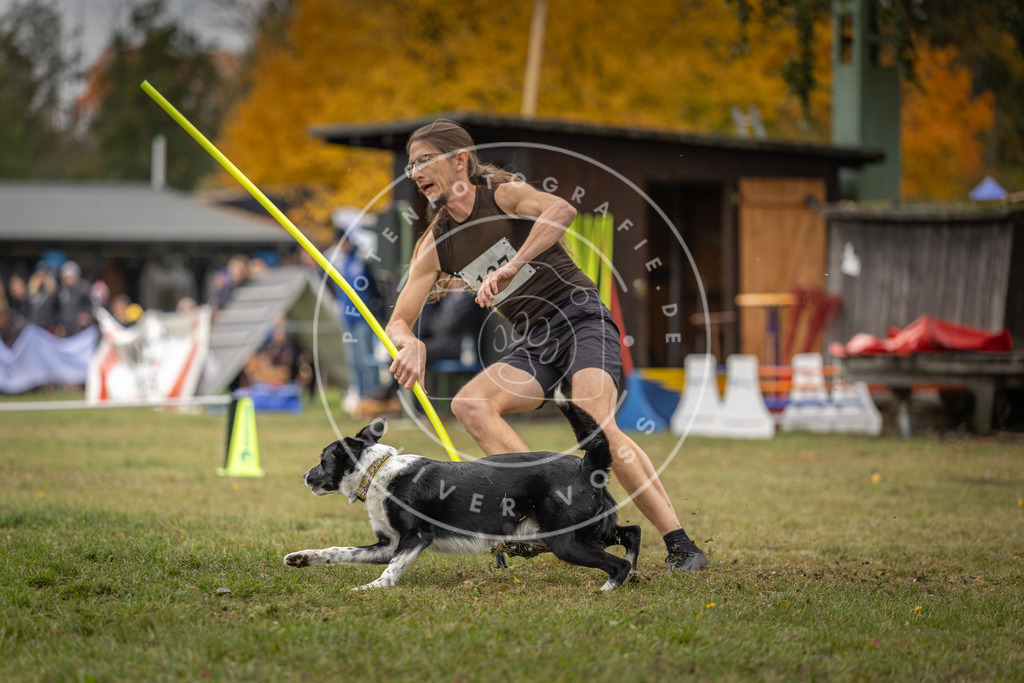 Pfotenfotografie_DV3A7872 | Hundefotografie, Tierfotograf, Pfotenfotografie, Fotoshooting Hund, Hunde Portrait, Hundesport, Hundeportraits, Heideshooting, Hunde, Sportfotograf, Hundefotograf, Turnierhundsport, THS,  - Realisiert mit Pictrs.com