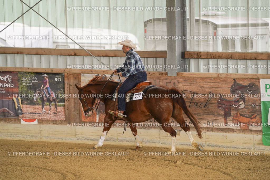 DSC04069 | Pferdegrafie