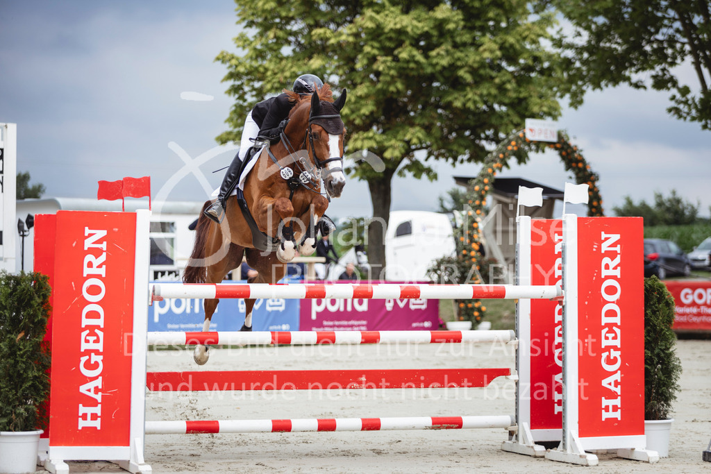 240712_BHO_ZweiPh-M2-1-511 | Deine schönsten Turniermomente als professionelle Fotos! Entdecke hochwertige Pferdesport-Fotografie im Online-Shop. Jetzt Fotos finden & bestellen!