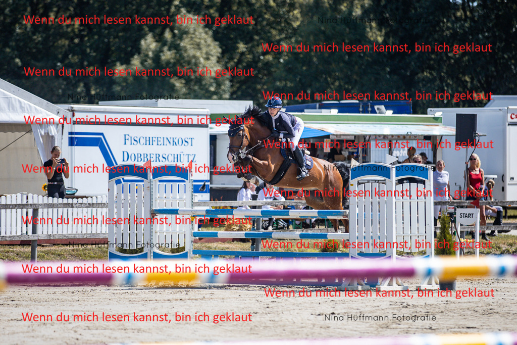 BK1A6236 | Turnierbilder Turnierfotos Nina Hüffmann Turnierfotografie Pferdefotografie Tierzeichnung Haustierzeichnung Pferdezeichnung Hundezeichnung Videograf  - Realisiert mit Pictrs.com