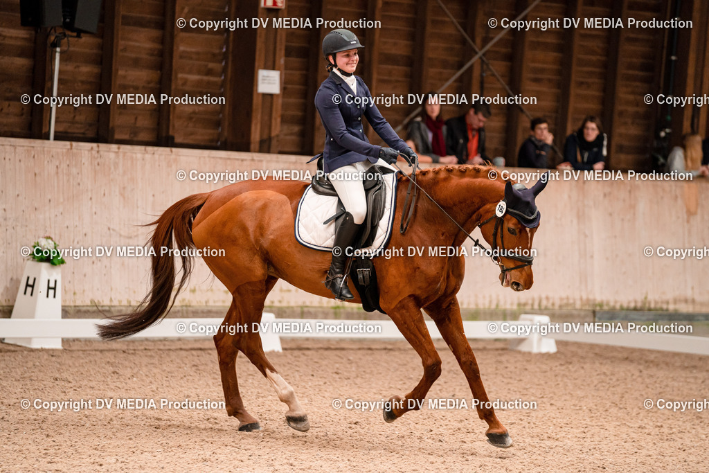 Dressur Tag 2-189 | dv-media-shop - Realisiert mit Pictrs.com