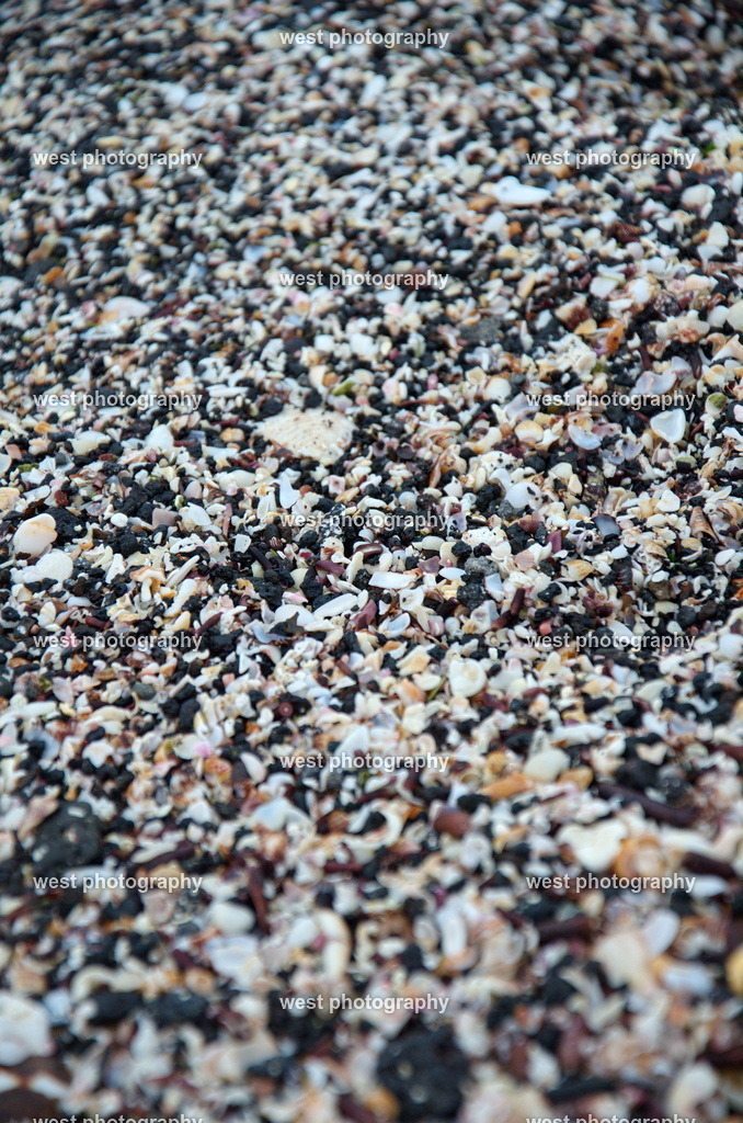 Galapagos Beach - EQU 2015 | west photography - Realisiert mit Pictrs.com
