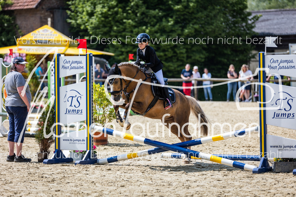 Donop24-SprRW-010 | MomenTaufnahmen Pferdesportfotos