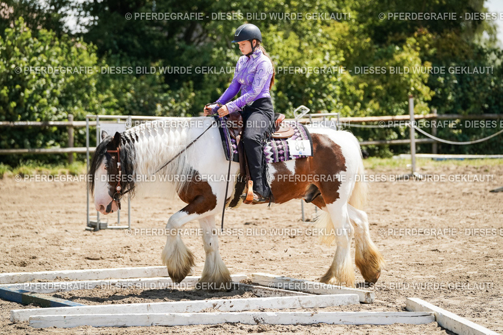 DSC07475 | Pferdegrafie