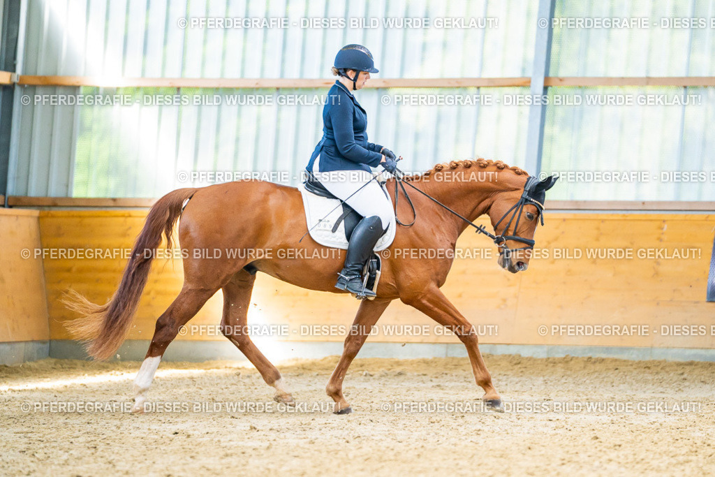 DSC07485 | Pferdegrafie