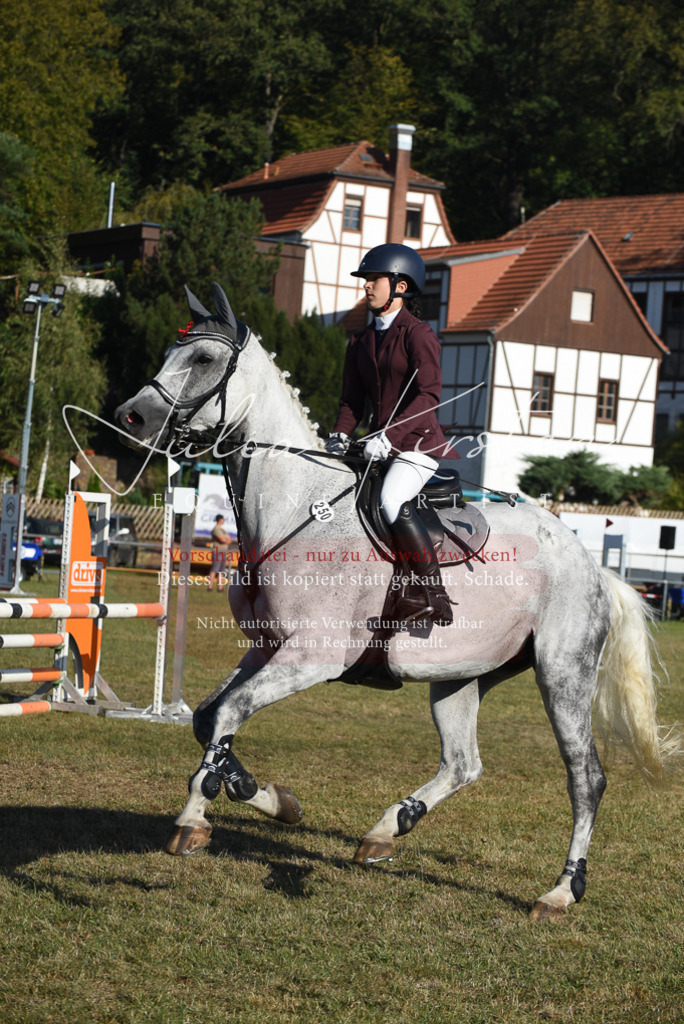 DSC_5249 | Pferde- und Turnierfotografie in Westsachsen. Pferdeportraits, Auftragszeichnungen und intuitive Kunst.