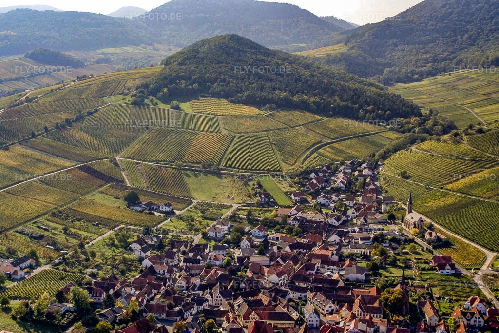 Luftbild: Weinlage Kastanienbusch in Birkweiler im Bundesland Rheinland-Pfalz in Deutschland. Foto: IMG_8406.jpg vom 07.10.2007 durch Werner Riehm/FLY-FOTO.de