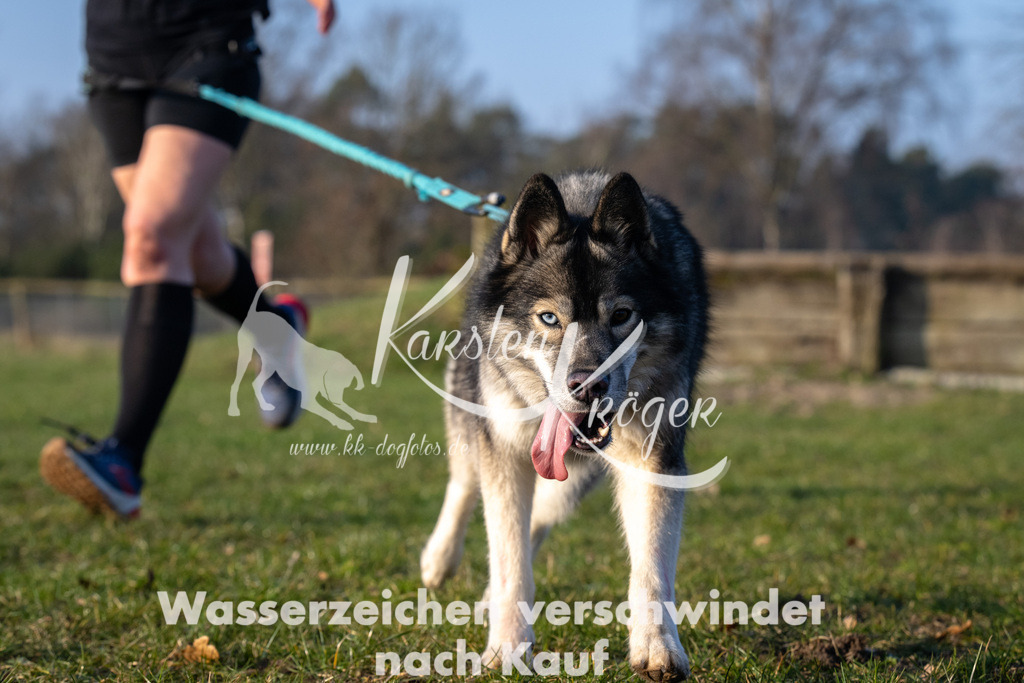 _ZZ91151 | kk-dogfotos